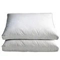 White Goose Feather and Down Pillows (Set of 2)