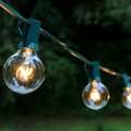 Electric Globe String Lights with 25 Lights