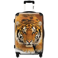 iKase 'Tiger' 24-inch Fashion Hardside Spinner Suitcase