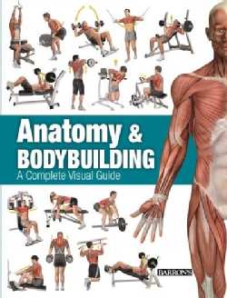 Anatomy & Bodybuilding: A Complete Visual Guide (Paperback)