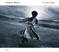 Stephan Micus - On The Wing
