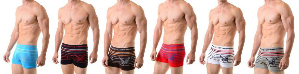 Men's Classic Seamless Boxer Briefs Shorts Shorts Underwear 6-Pack Pattern Pegasus(One Size)