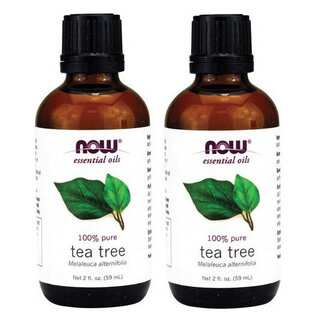 Now Foods 2-ounce Tea Tree Essential Oil (Pack of 2)