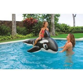 Intex Dolphin and Whale Ride-On 2-Pack