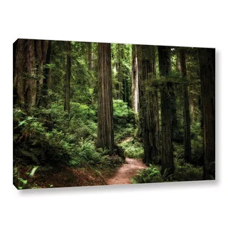 ArtWall Kevin Calkins ' Enchanted Path ' Gallery-Wrapped Canvas