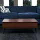 Elliot Wood Lift-Top Storage Coffee Table by Christopher Knight Home
