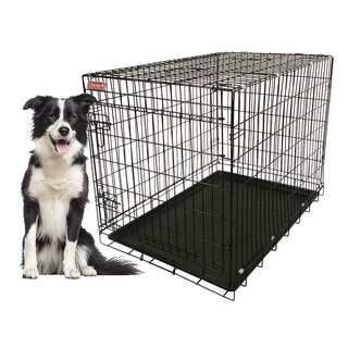Coleman 36-inch Large Heavy-guage Foldable Wire Pet Kennel