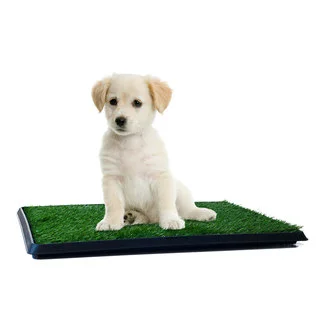 Paw Puppy Potty Trainer The Indoor Restroom for Pets Small