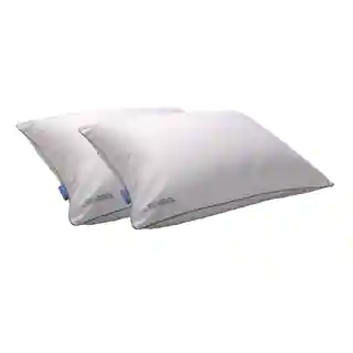 Splendorest Iso-Cool Traditional Polyester Pillow with Outlast Cover (Set of 2)