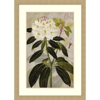 John Butler 'Rhododendron I' Framed Art Print 30 x 42-inch