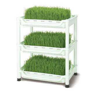 Tribest Sproutman SM-350 Soil-Free Wheatgrass Grower