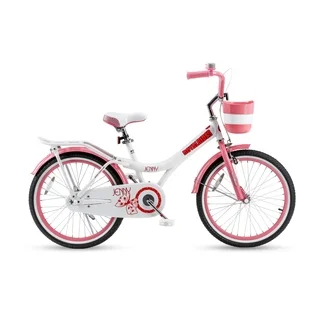 Royalbaby Jenny Princess Pink Girl's Bike with Training Wheels and Basket, Perfect Gift for Kids, 20 inch wheels