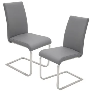 Contemporary Foster Stainless Steel Dining Chairs (Set of 2)