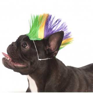 Rubies Pet Mardi Gras Mohawk Wig
