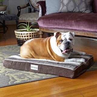 Beautyrest Memory Snooze Orthopedic Dog Bed