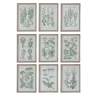Herb Garden Prints (Set of 9)