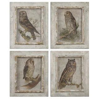 Owls Framed Art (Set of 4)