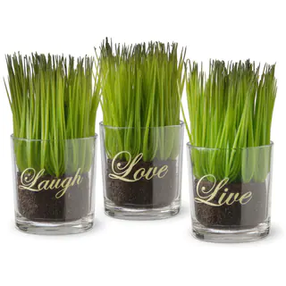 National Tree Company 'Live Laugh Love' Printed Glass Pots with Artificial Grass (Set of 3)