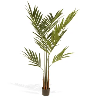 National Tree Company 69-inch Kentia Palm Potted Tree