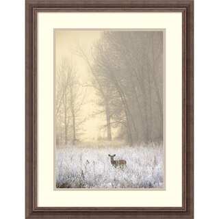 Jason Savage 'White-tailed Deer in Fog' Framed Art Print 21 x 27-inch
