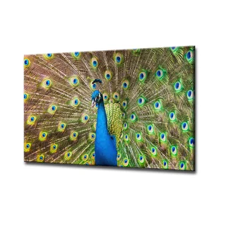 Bruce Bain 'Peacock' ArtPlexi by Ready2HangArt