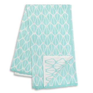 The Peanut Shell Mint and White Reversible Blanket