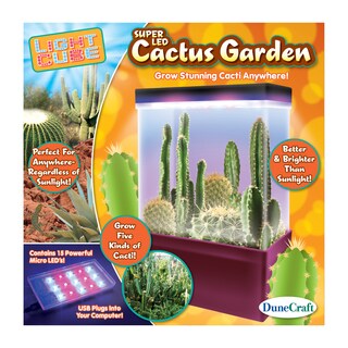 LED Light Cube Terrarium Cactus Garden