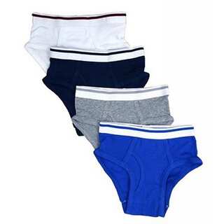 Boys' 100-percent Cotton Assorted Colors Briefs (Pack of 4)