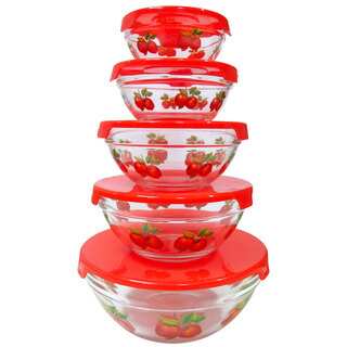 10 Piece Glass Lunch Bowls or Food Storage Containers Set With Lids and Apple Design