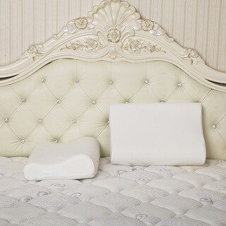 Dasein Premium Contour Memory Foam Pillow with Cover (Set of 2)