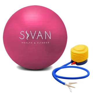 Burst Resistant Pink Stability Ball with Pump