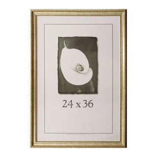 Napoleon 24 inches x 36 inches Picture Frame