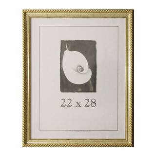 Napoleon 22-inch x 28-inch Picture Frame