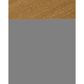 Handcrafted Costa Rica Natural Seagrass Rug - Taupe Binding, (4' x 6')