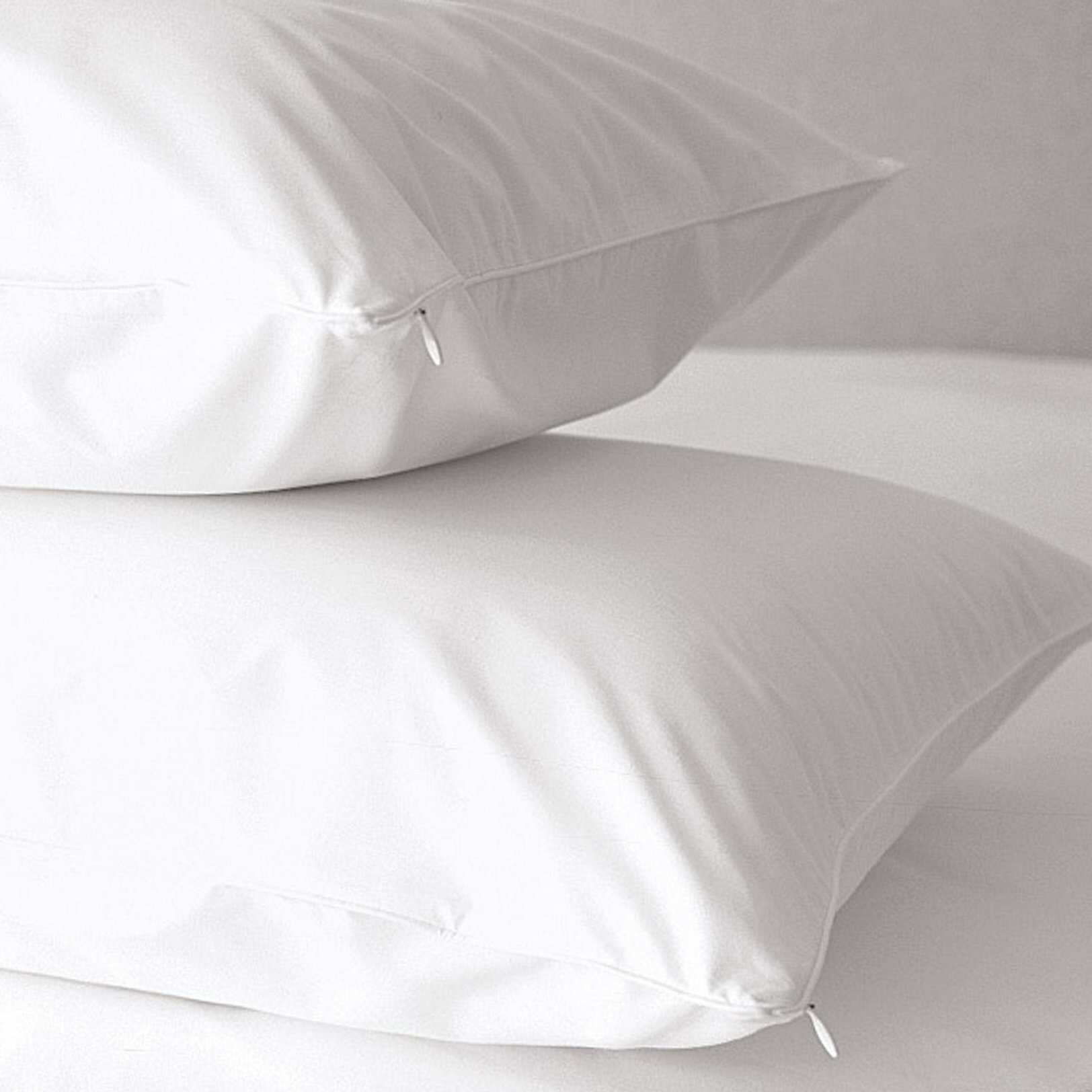 OSleep 300 Thread Count Cotton Hypoallergenic White Pillow Protector (Set of 8)