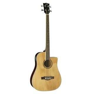 Eko Guitars 06217040 NXT Series Natural Finish Acoustic Guitar