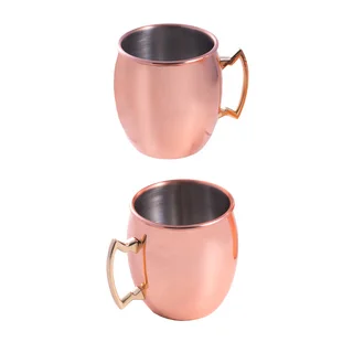 Copper Stainless Steel Tankards (Set of 2)