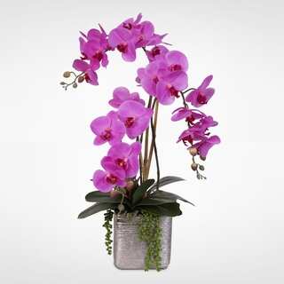 Real Touch Lavender Phalaenopsis Orchid with Succulents in Ceramic Pot