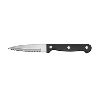 Ginsu Essentials Series Stainless Steel 3.5-inch Paring Knife