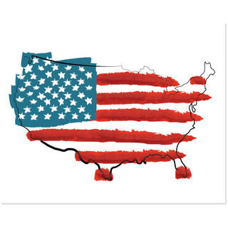 Secretly Designed Red/White/Blue United States Flag Art Print