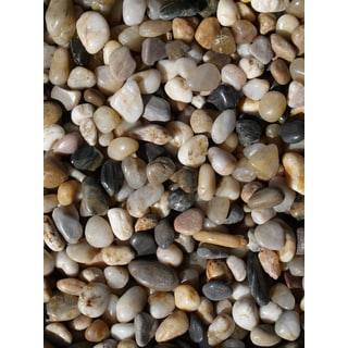 Exotic Pebbles & Aggregates PMS-0510 5-pound Mixed Polished Gravel