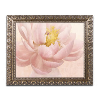 Cora Niele 'Pink Peony' Ornate Framed Art