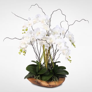 White Real Touch Phalaenopsis Silk Orchid Arrangement in a Natural Teak Bowl