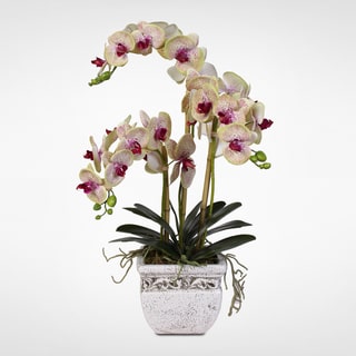 Real Touch Phalaenopsis Silk Orchid Arrangement in a Stone Pot