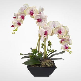 Real Touch Phalaenopsis Silk Orchids with Succulents in Metal Pot