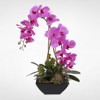Real Touch Pink Phalaenopsis Silk Orchids with Succulents in a Metal Pot