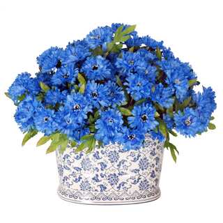 Jane Seymour Botanicals Wild Blue Cornflower Bouquet in 15-inch-wide Blue and White Oval Planter