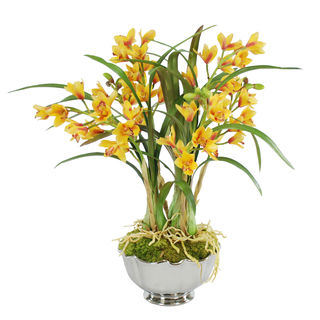 Jane Seymour Botanicals Cymbidium Orchids in 25-inch Bowl