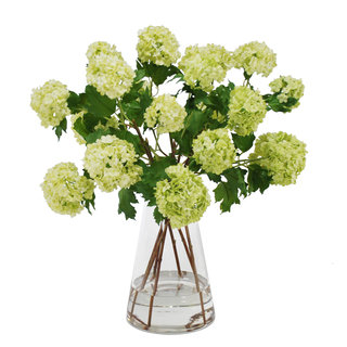 Jane Seymour Botanicals Viburnum Snowballs Bouquet in Glass Beaker 21-inch Tall Vase