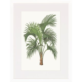 Palm Plants' Framed Art Print